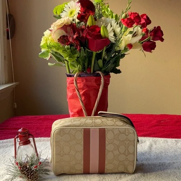 🎄 COACH DEMPSEY BOXY COSMETIC CASE 🎄 - Picture 5 of 16